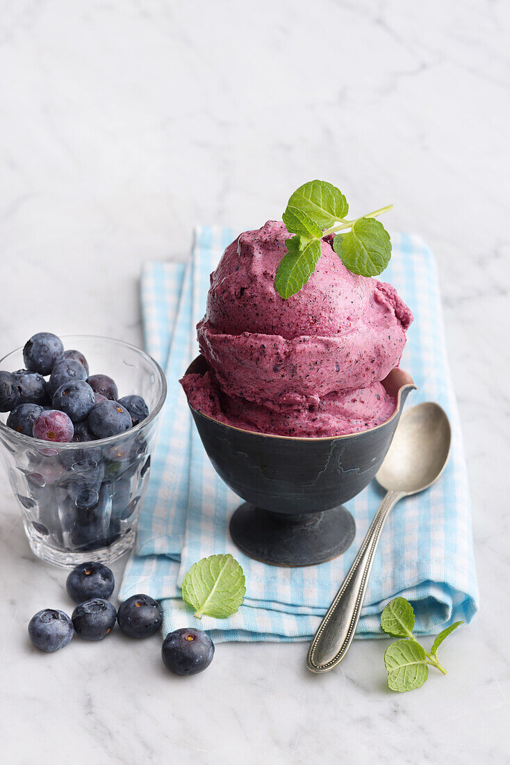 Blueberry frozen yoghurt