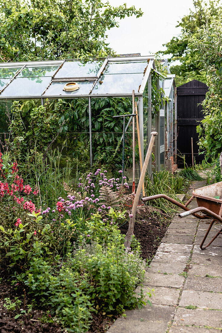 Garden with greenhouse, flower bed and garden tools in summer