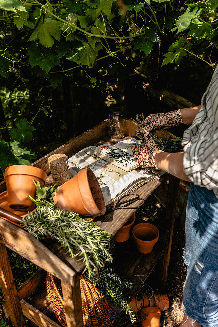 Pflanztisch im Garten mit Terrakottatöpfen und Schere