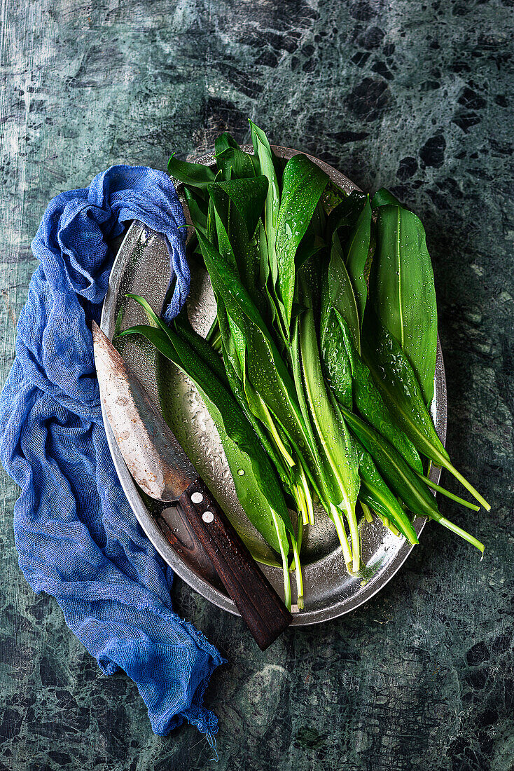 Fresh wild garlic leaves on a platter