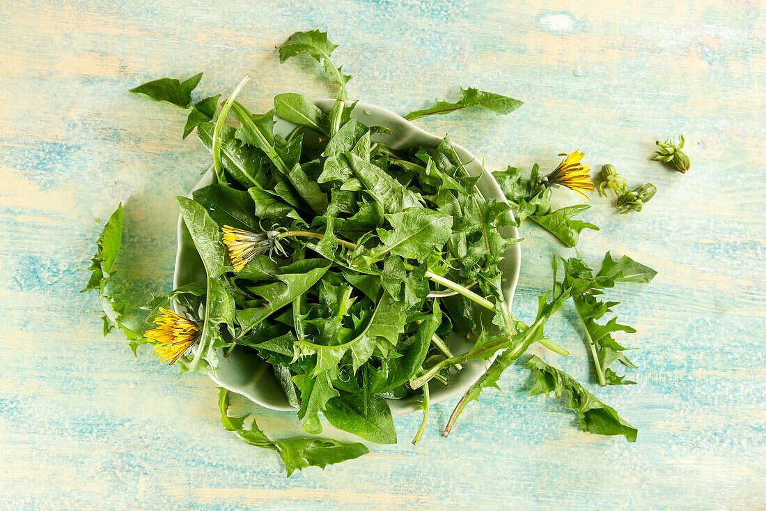 Fresh dandelion leaves and flowers