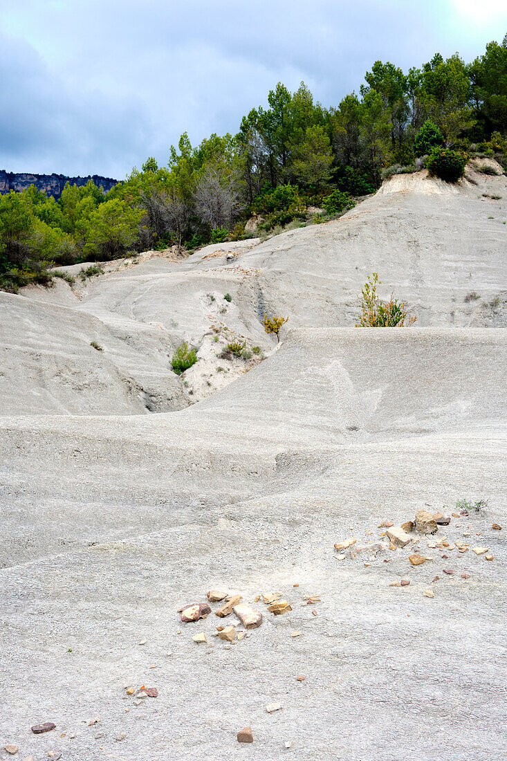 Trockene und steinige, zerklüftete Zone mit spärlicher Vegetation. Yesa-Stausee. Aragonien, Spanien, Europa.