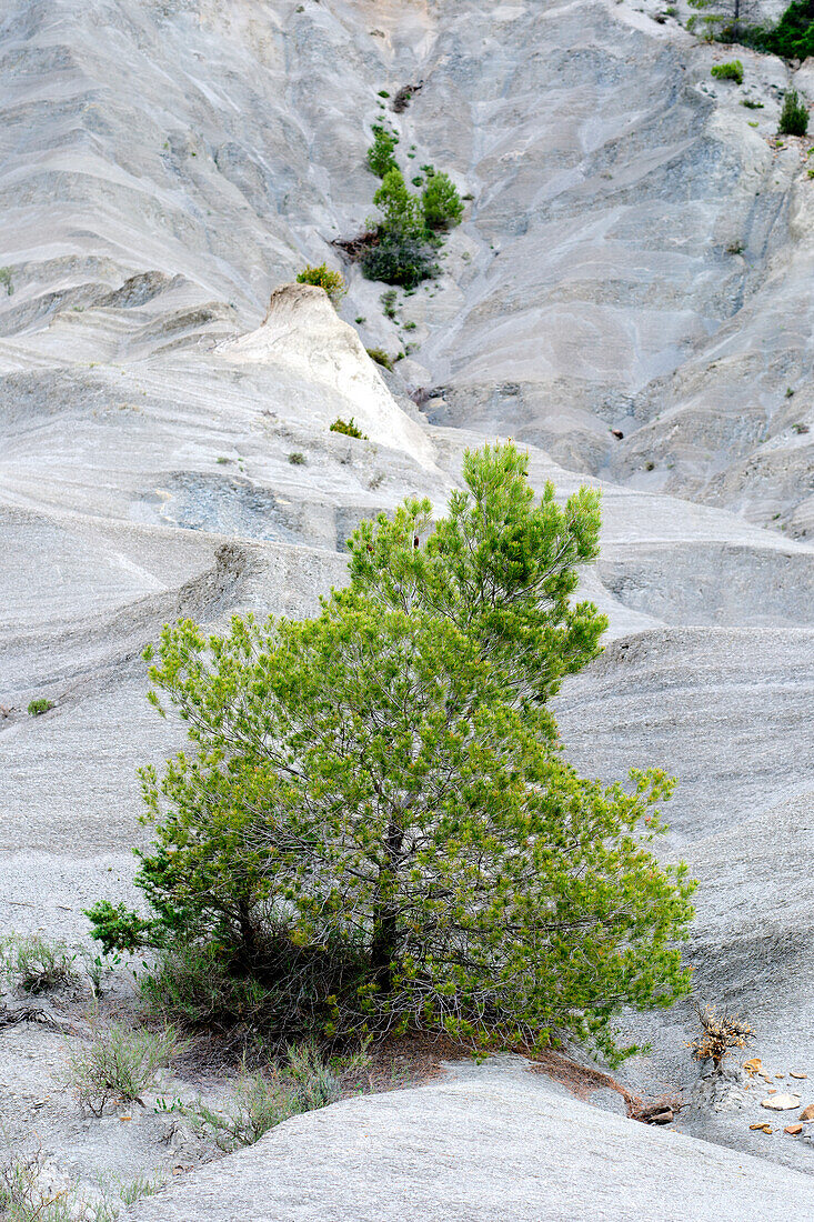 Arid and stony craggy zone with little poor vegetation. Yesa reservoir. Aragon, Spain, Europe.