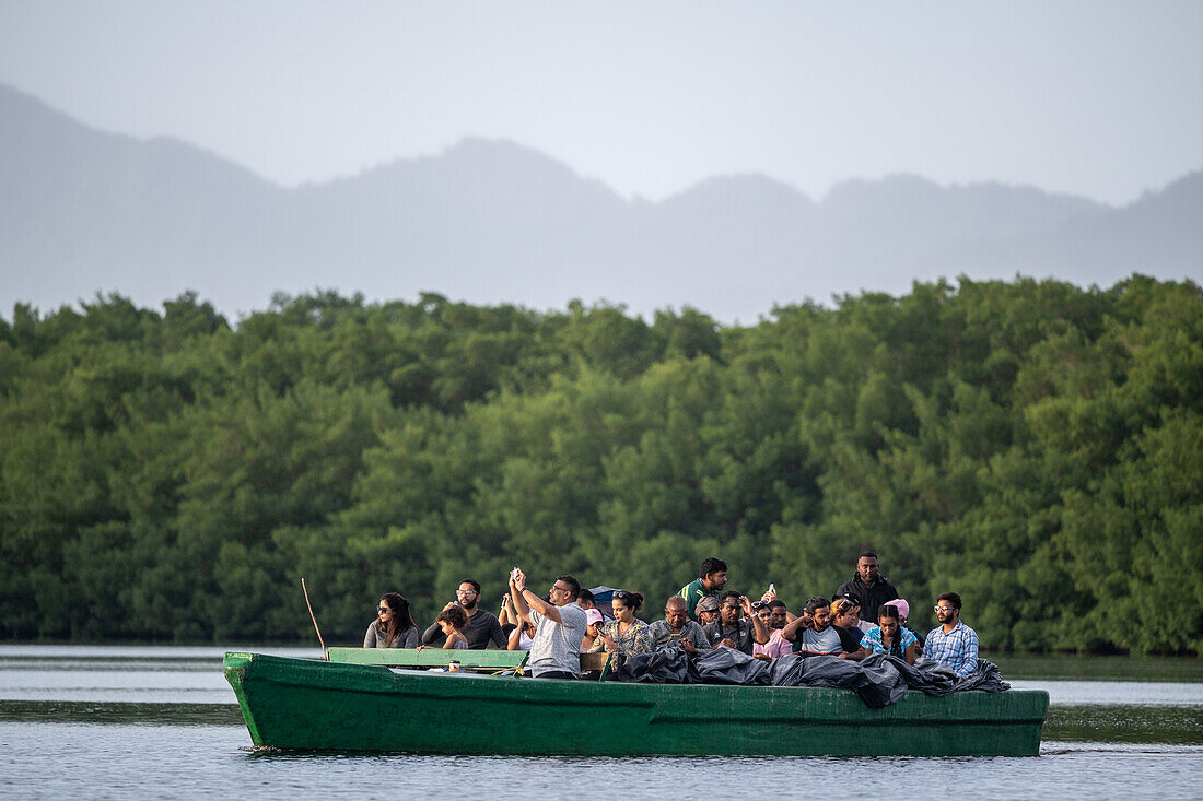 Tourists in the swamp who have come to see birds in Caroni Swamp. Trinidad