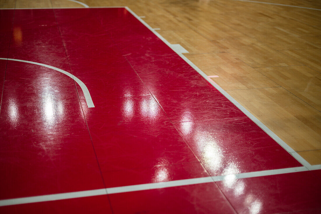 The Harlem Globetrotters perform at the Prince Felipe Pavilion in Zaragoza, Spain