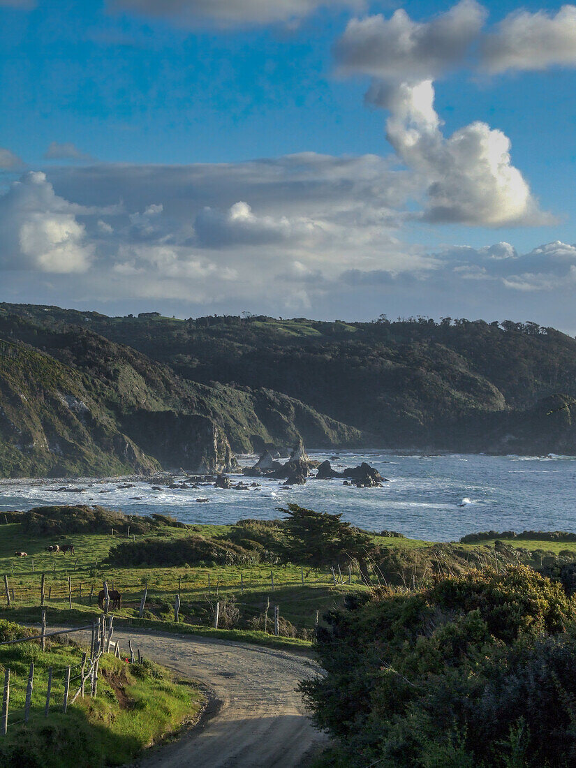 Felsen im Pazifischen Ozean vor der Westküste der Insel Chiloe in der Seenregion Chiles.