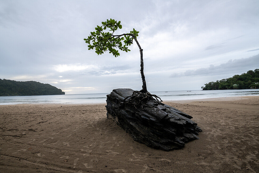 Trinidad Las Cuevas Perseverance Rock