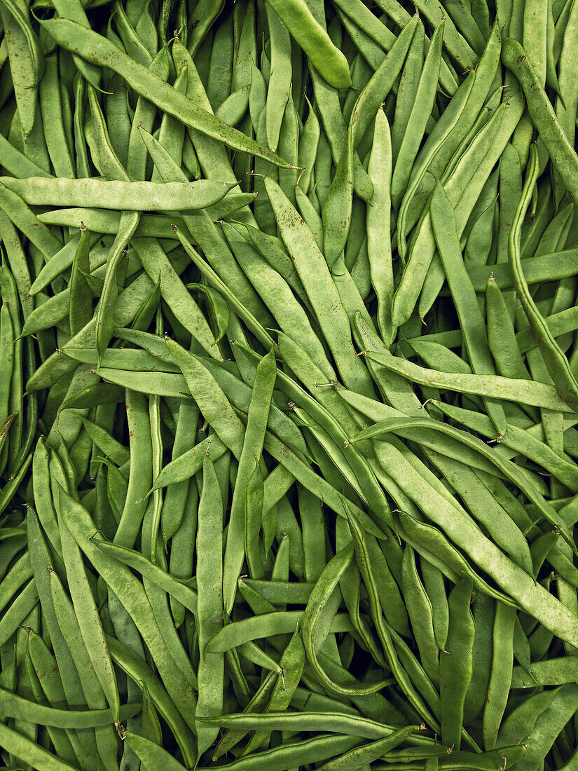 Full frame shot abundance of vibrant green bean pods