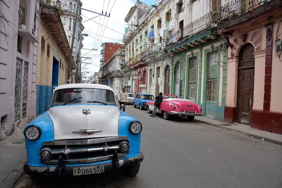 Kuba,La Havanna,typische Straße der Hauptstadt mit alten amerikanischen Oldtimern aus den 50er Jahren