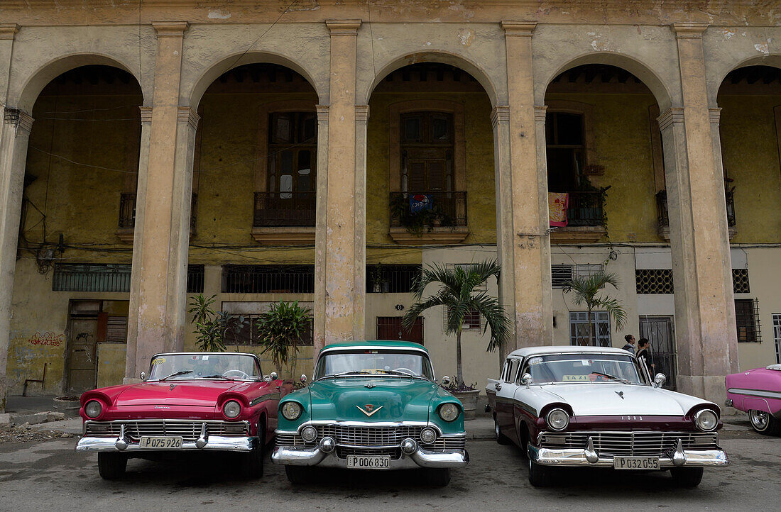 Cuba,La Havana,Paseo de Marti,3 old red and pink American cars of the 50s are parked while waiting for tourists