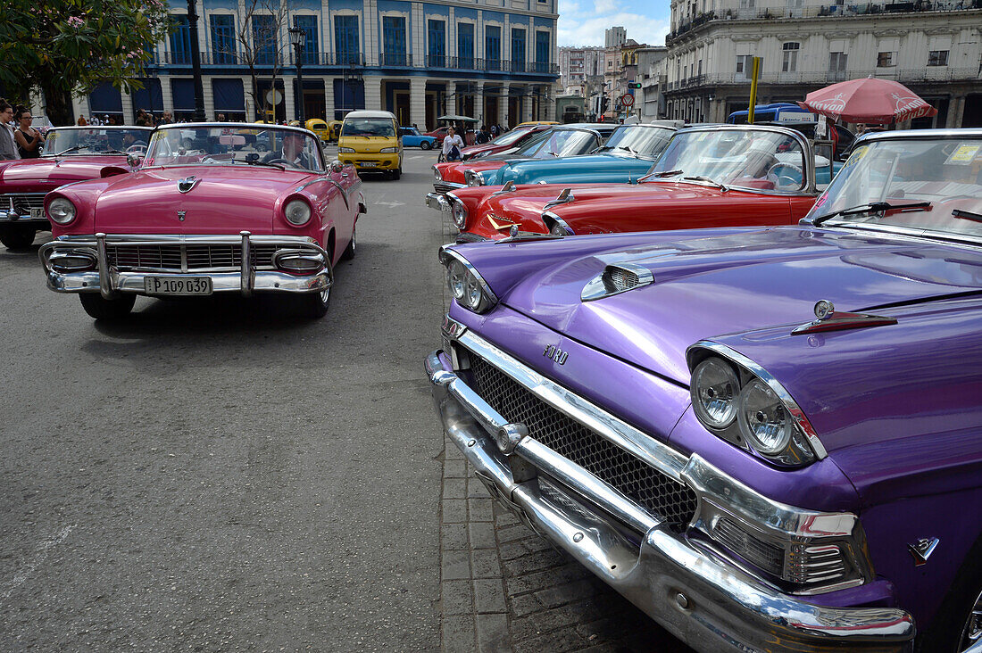 Kuba,La Havanna,Paseo de Marti,alte amerikanische Cabriolets der 50er Jahre in leuchtenden Farben parken und warten auf Touristen.