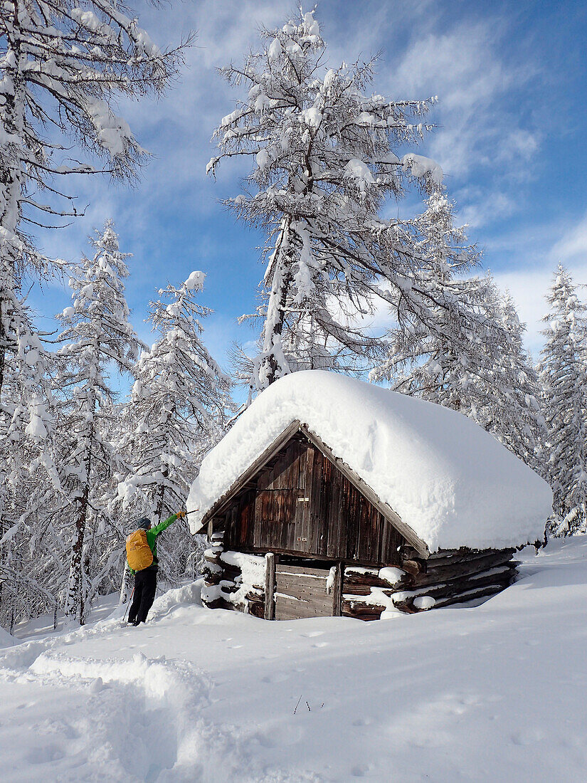 Austria,Tyrol,a man carrying a yellow backpack is standing in a larch forest in ,front of a wooden caban covered by fresh snow