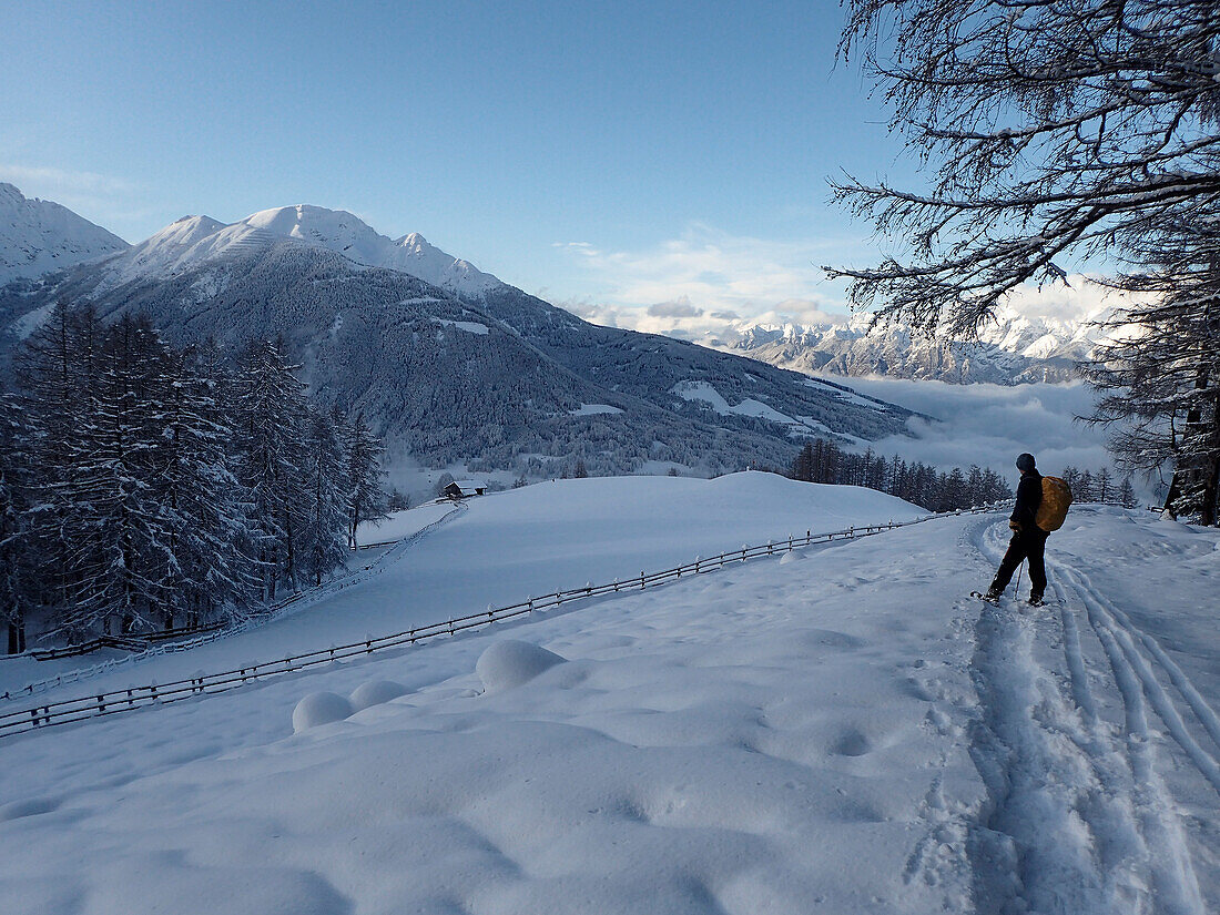 Austria,Tyrol,a man carrying a yellow backpack is hiking in the fresh snow in front of the Stubai Alps