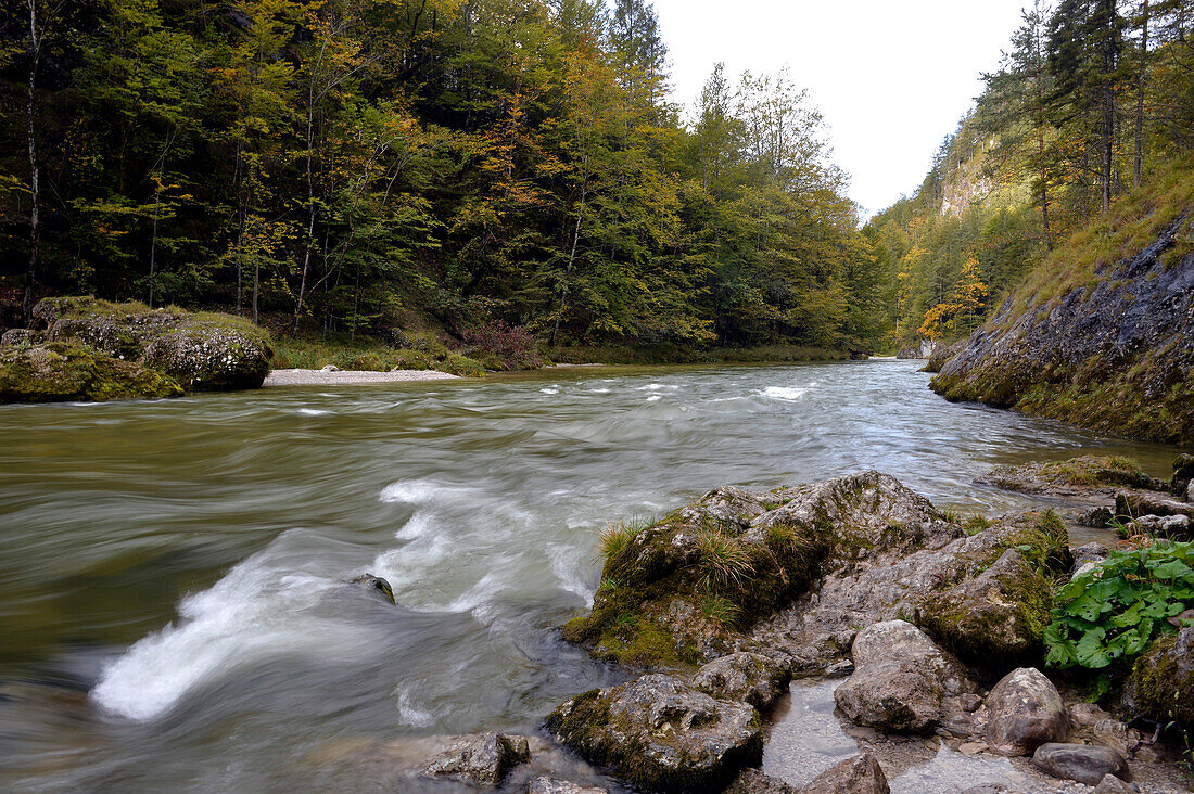 Austria,Styria,ENNSTAL Alps, the SALZA river tributary of the ENNS river is one the wildest river in Austria