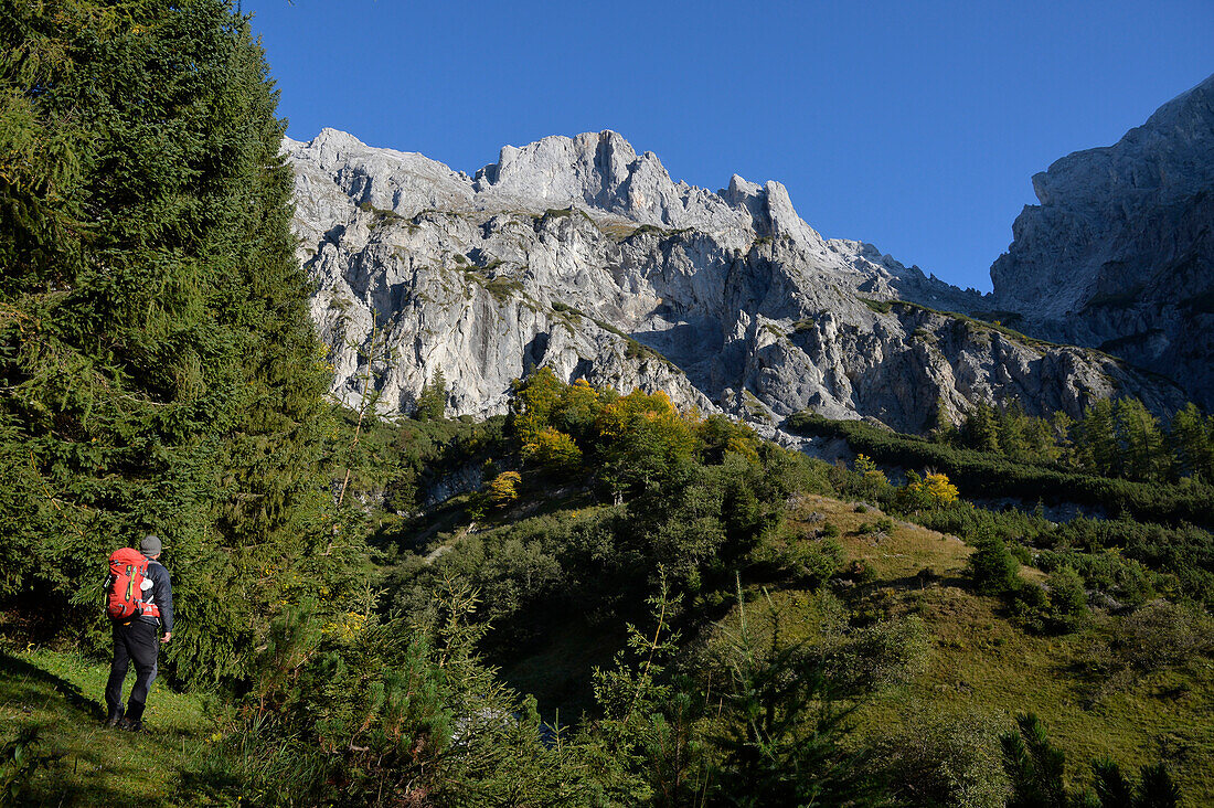 Austria,Styria,ENNSTAL Alps, a lonely man carrying a red backpack walks through a pine forest at the bottom of the Admonter Reichenstein limestone range 2251m