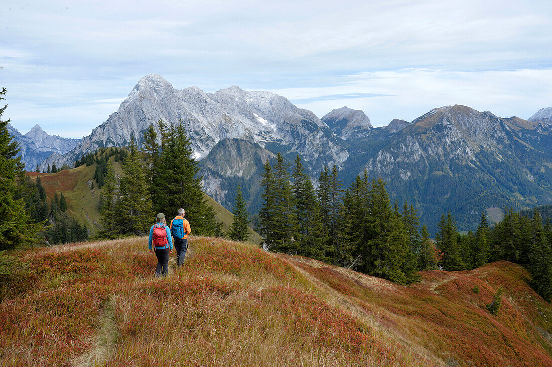 Austria,Styria,ENNSTAL Alps,Johnsbach valley,a couple is hiking on high crests in front of the summit of the Grosser Odstein 2335m towards Johnsbach valley.