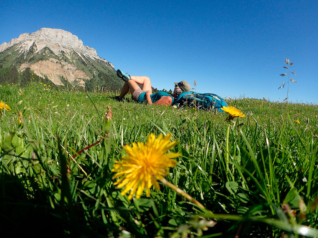 France,isÃ¨re,a woman dressed in shorts is lying in the grass at alpine pasture of Emeindras dessus 1420m at the bottom of the highest summit of the Chartreuse range Chamechaude 2082m