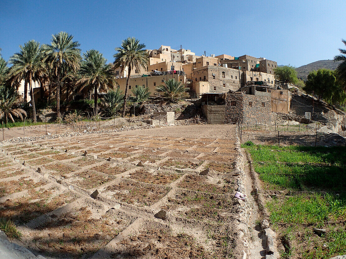 Sultanat Oman,AS Sharqiyah Region,Dorf Bilad Sayt,Blick auf ein traditionelles Dorf vom Palmenhain und den in kleine quadratische Parzellen unterteilten Gärten