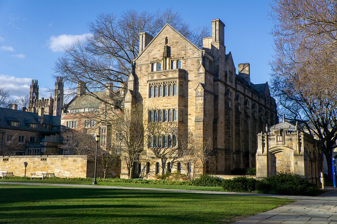 Anne T. & Robert M. Bass Library, exterior view, Yale University, New Haven, Connecticut, USA