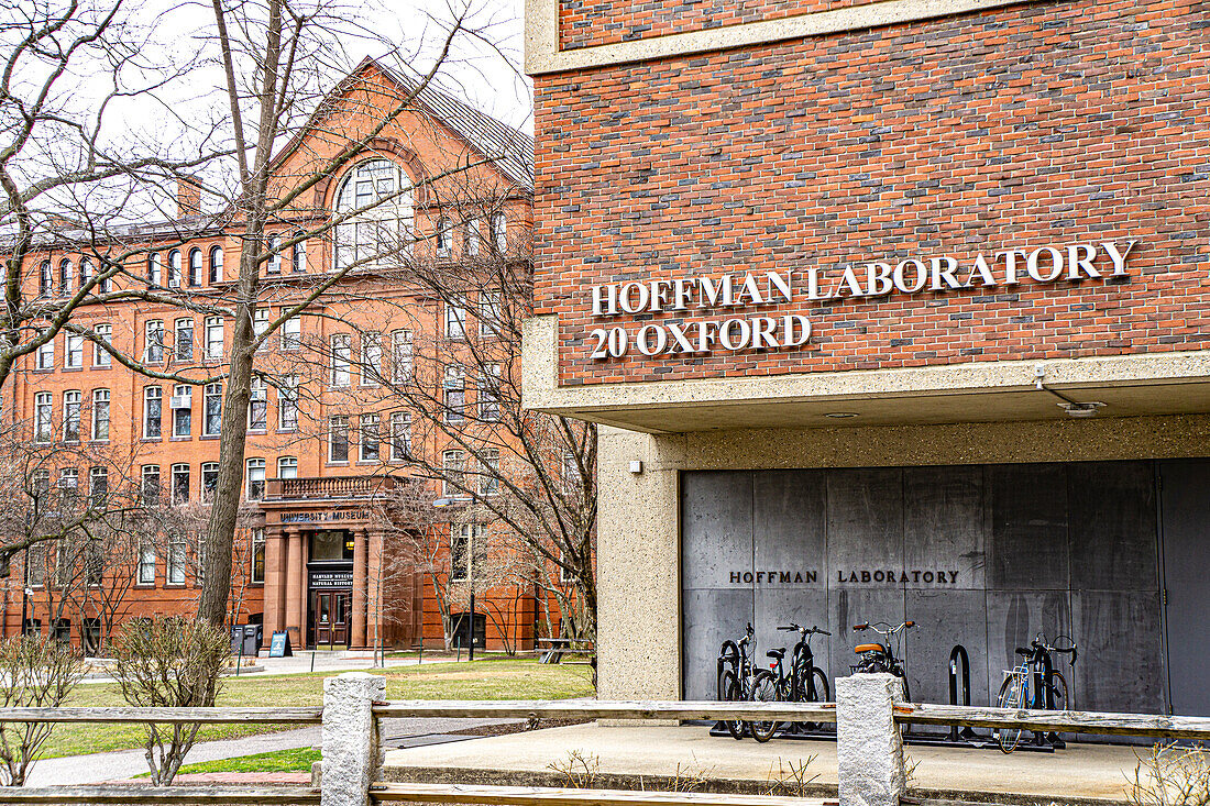 Harvard Museum of Natural History (left, background), Hoffman Laboratory (right, foreground), exterior views, Harvard University, Cambridge, Massachusetts, USA