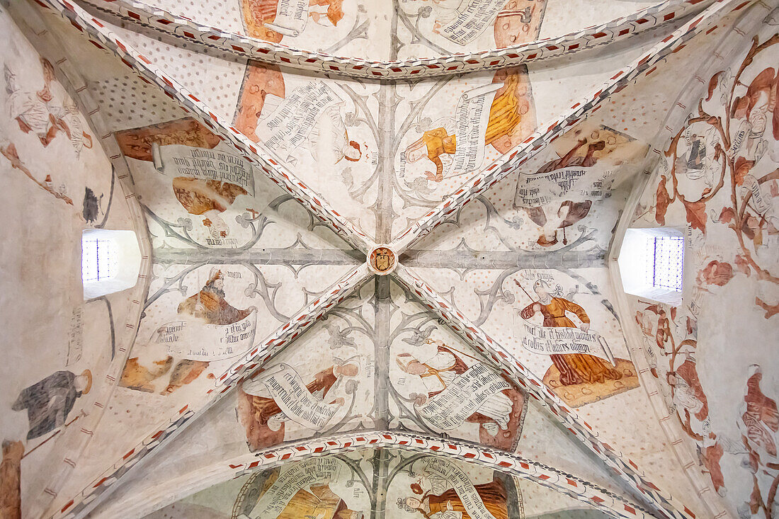 Painting of the ceiling of the episcopal palace,Saint Lizier,department of Ariege,Pyrenees,Occitanie,France