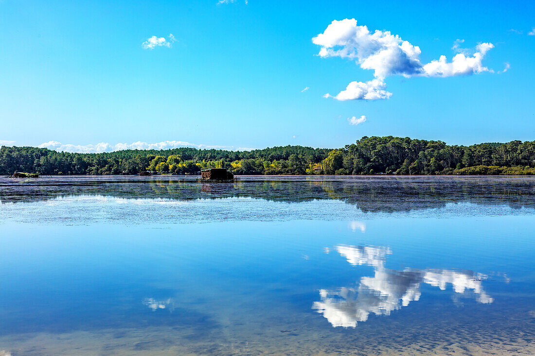 Hardy-Teich,Seignosse,Landes,Frankreich