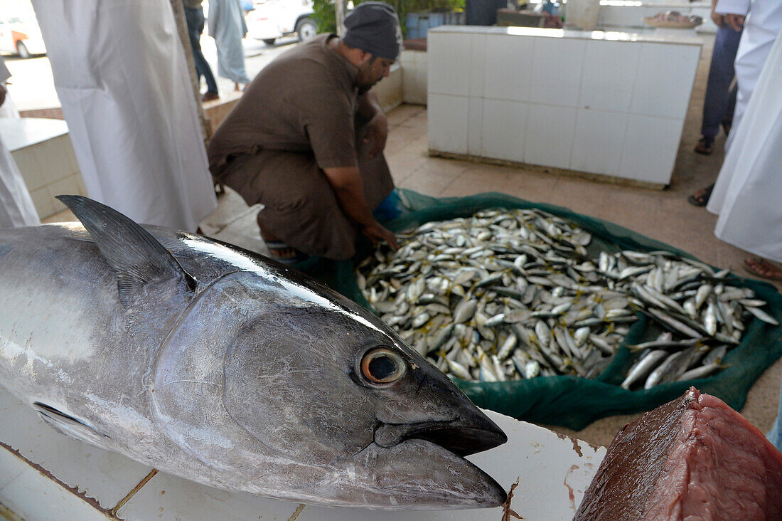 Sultanat Oman,Region Batinah,der Fischmarkt in BARKA