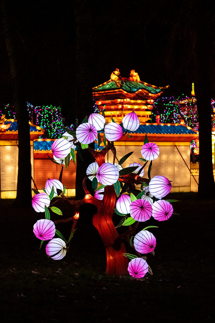 Lantern festival of Gaillac,Tarn,Occitanie,France. Du 01-12-2018 au   06-02-2019 au Château de Foucaud.