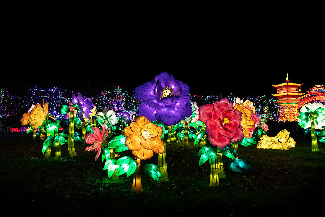 Lantern festival of Gaillac,Tarn,Occitanie,France. Du 01-12-2018 au   06-02-2019 au Château de Foucaud.