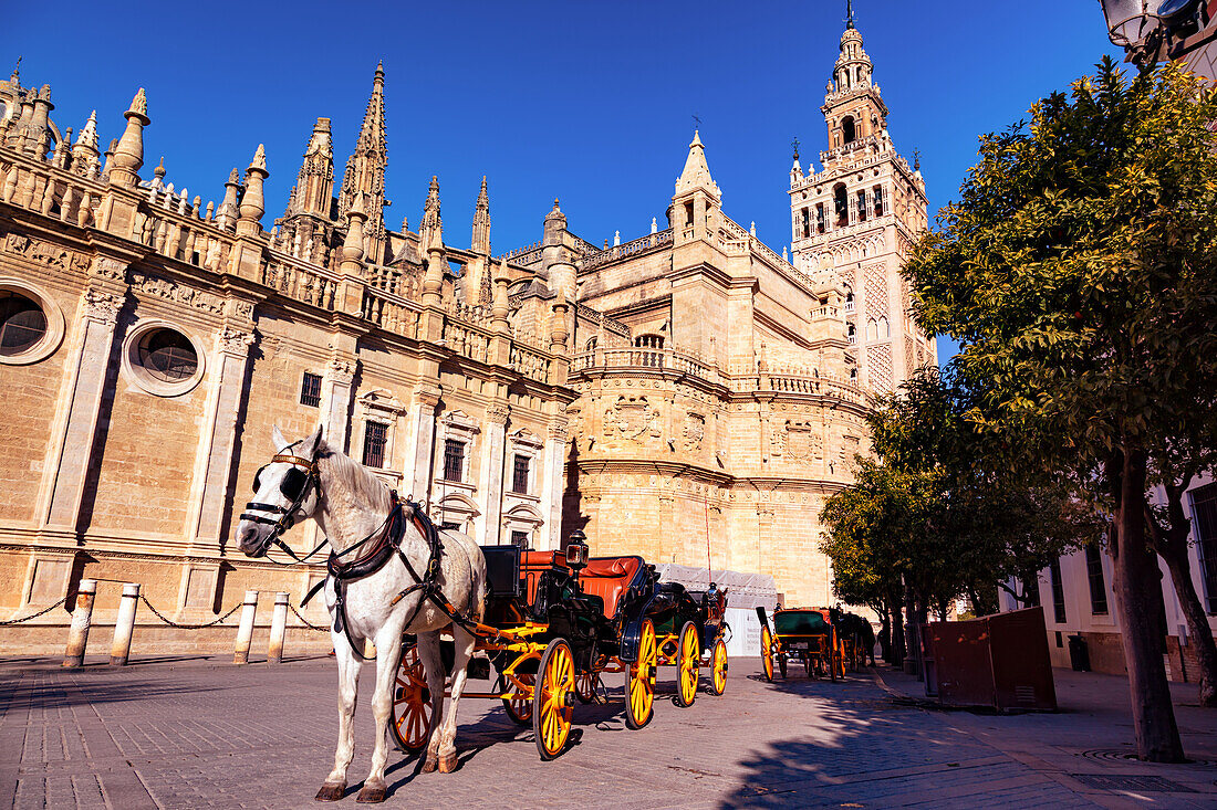 Kathedrale von Sevilla,Andalusien,Spanien