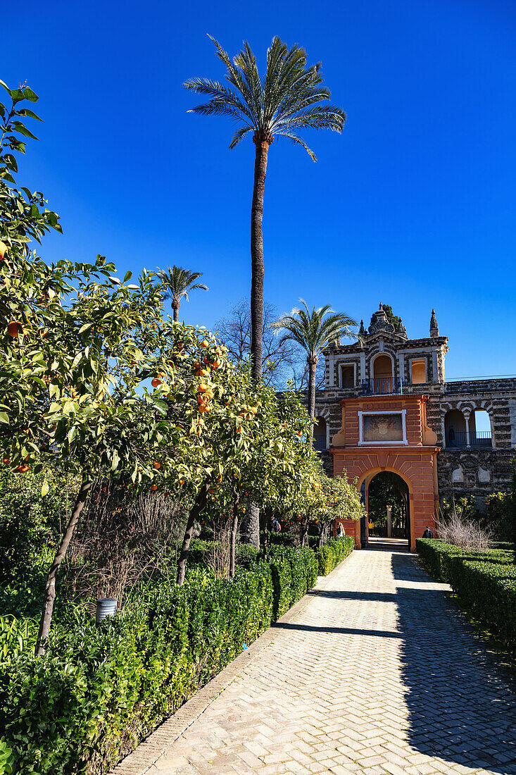 Real Alcázar of Seville,Andalusia,Spain