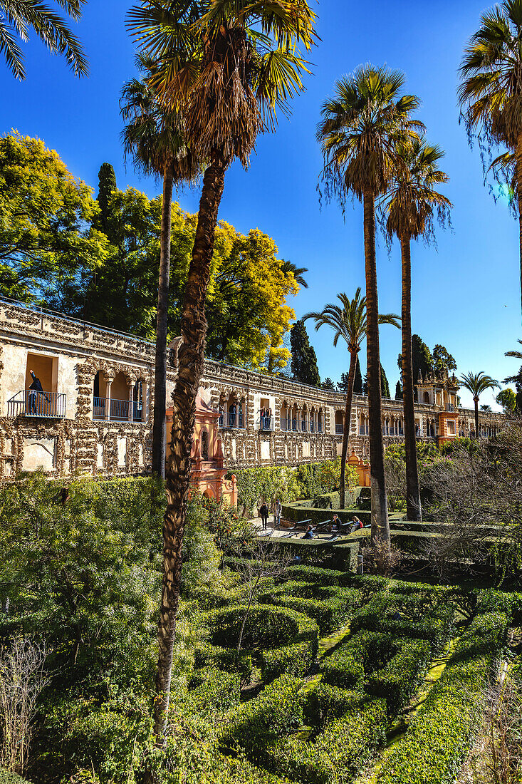 Real Alcázar of Seville,Andalusia,Spain