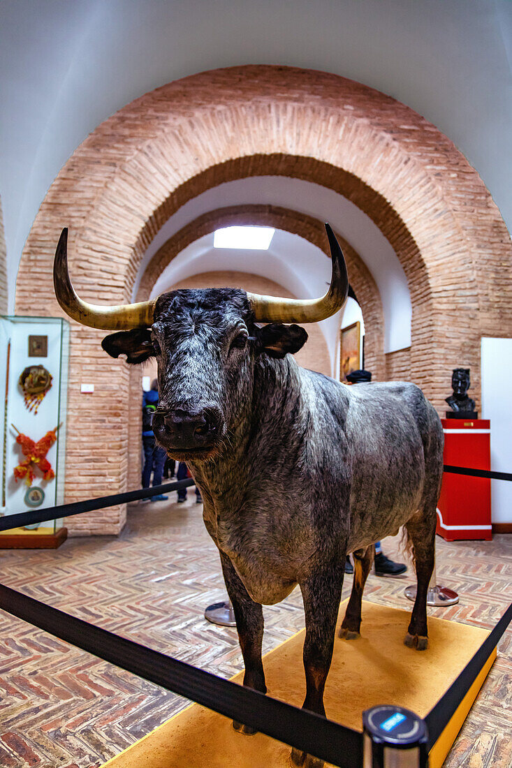 Arenas der Maestranza von Sevilla, Andalusien, Spanien