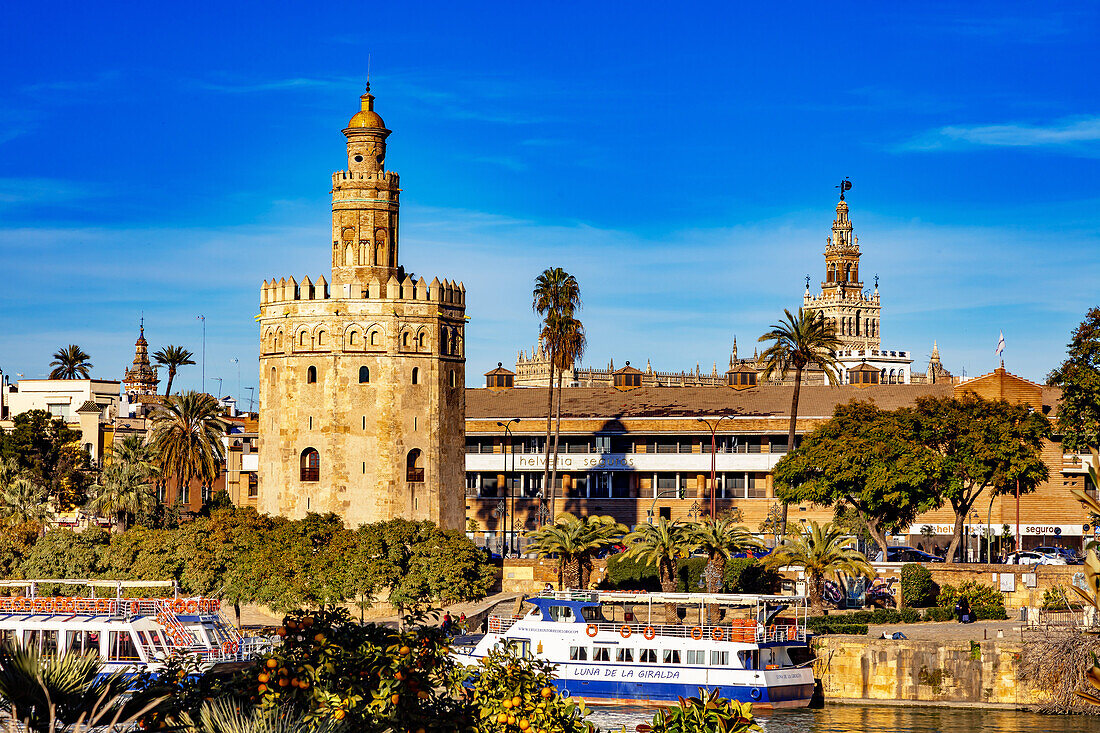 Torre del Oro, Sevilla, Andalusien, Spanien