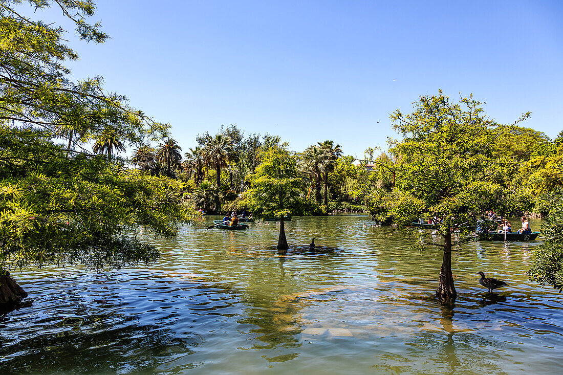 BARCELONA,SPANIEN - 2. JUNI 2019 : Menschen, die eine Bootsfahrt auf dem See im Ciutadella Park in Barcelona genießen.