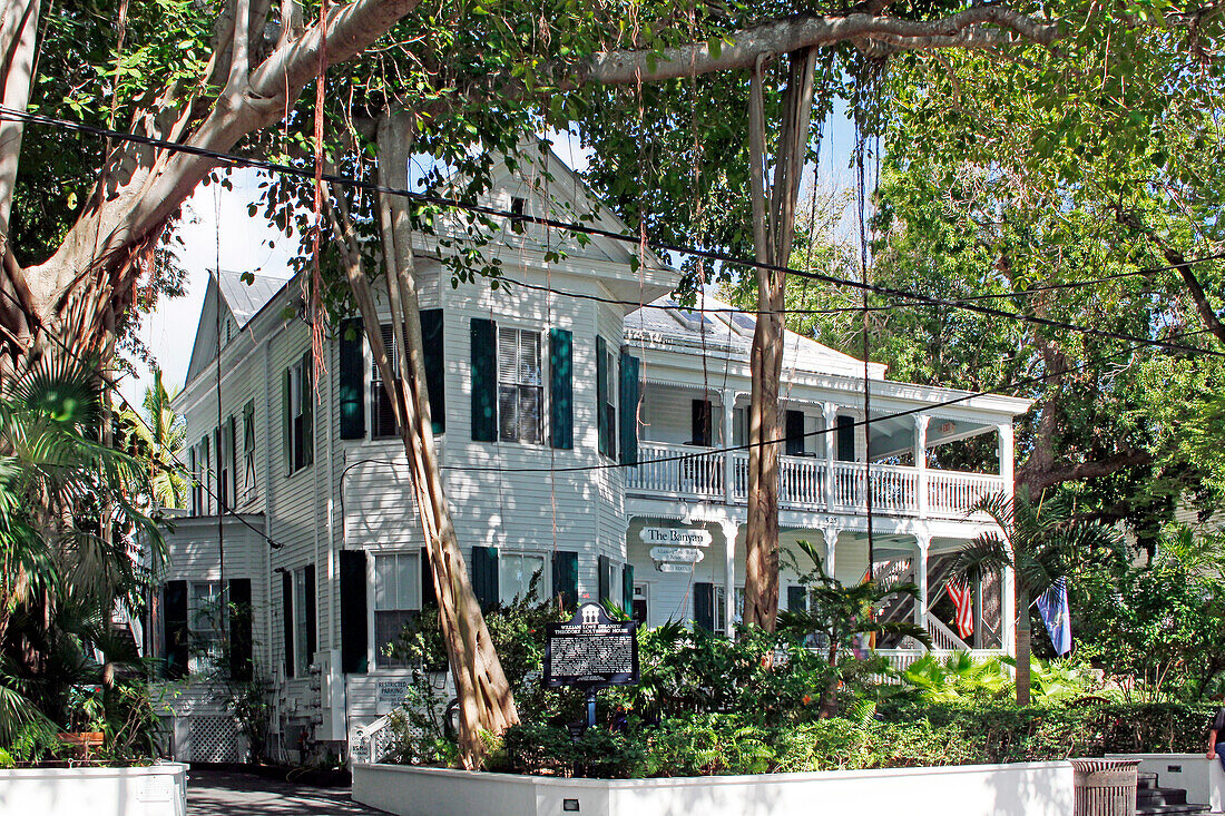 USA. Florida. The Keys. Key West. Historic and tourist center. The Banyan.