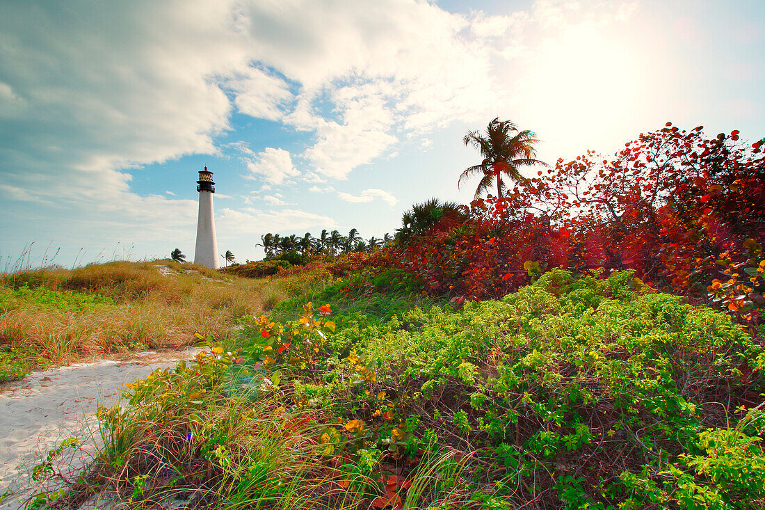 USA. Florida. Miami. Key Biscayne. Bill Baggs Cape Florida State Park. Leuchtturm.