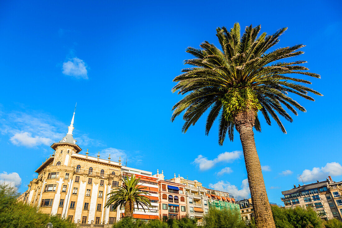 San Sebastian,Spain - 07 September 2019 - View of building and a palm tree from Alderdi-Eder park