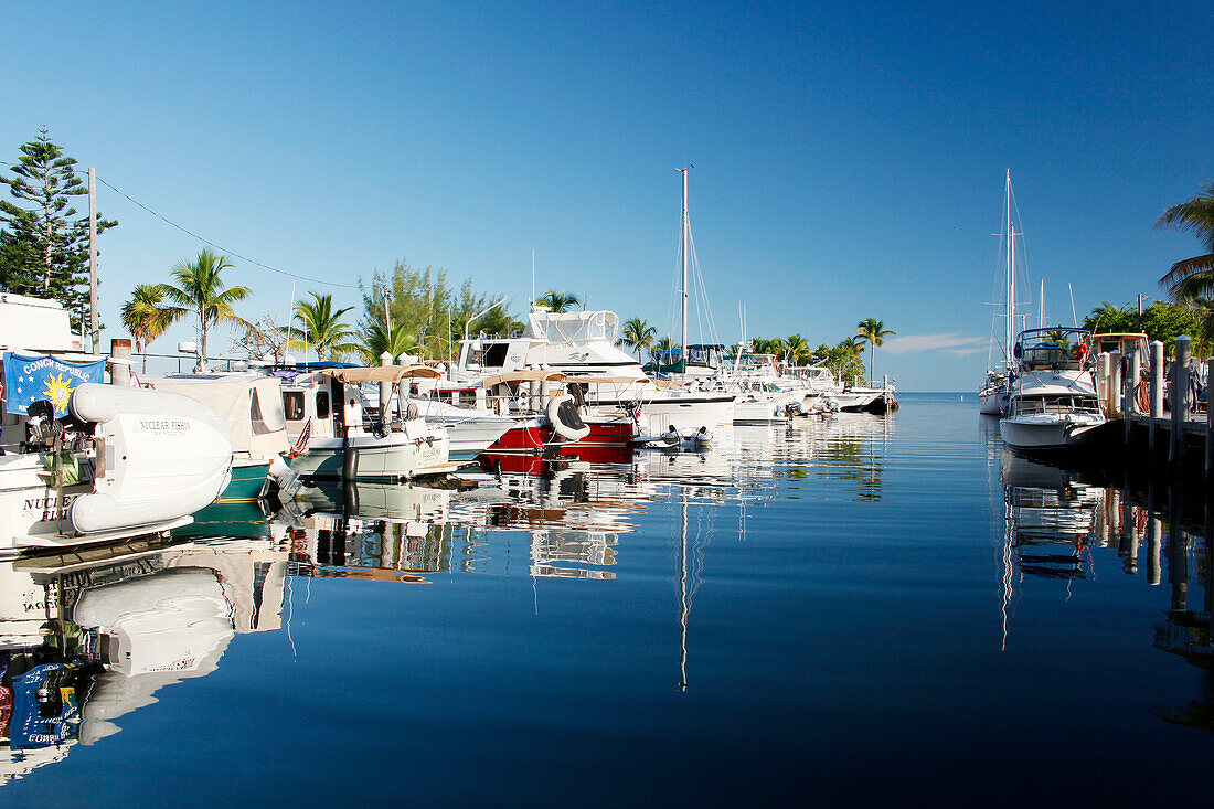 USA. Florida. The Keys. Marathon Island. The marina.