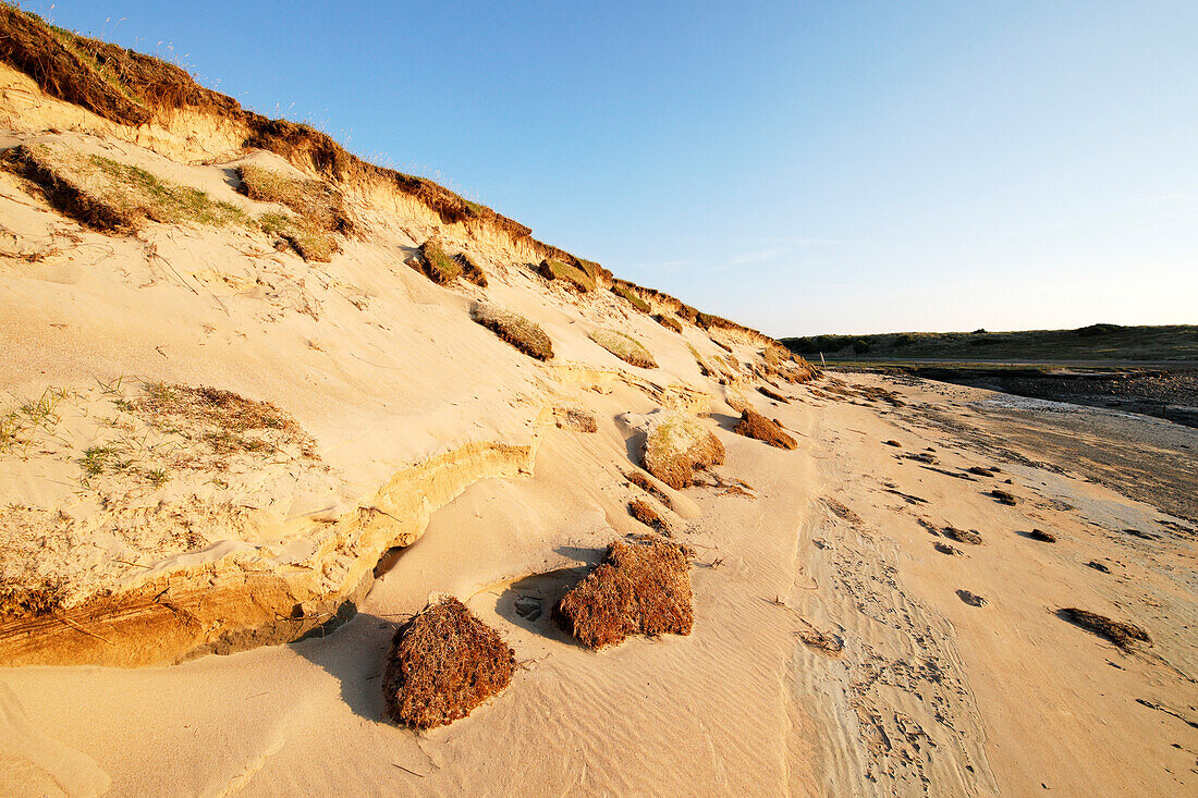 France. La Manche. Montmartin sur Mer,haven of Regneville sur Mer. Sunset. Area of erosion of beaches and dunes due to tides.