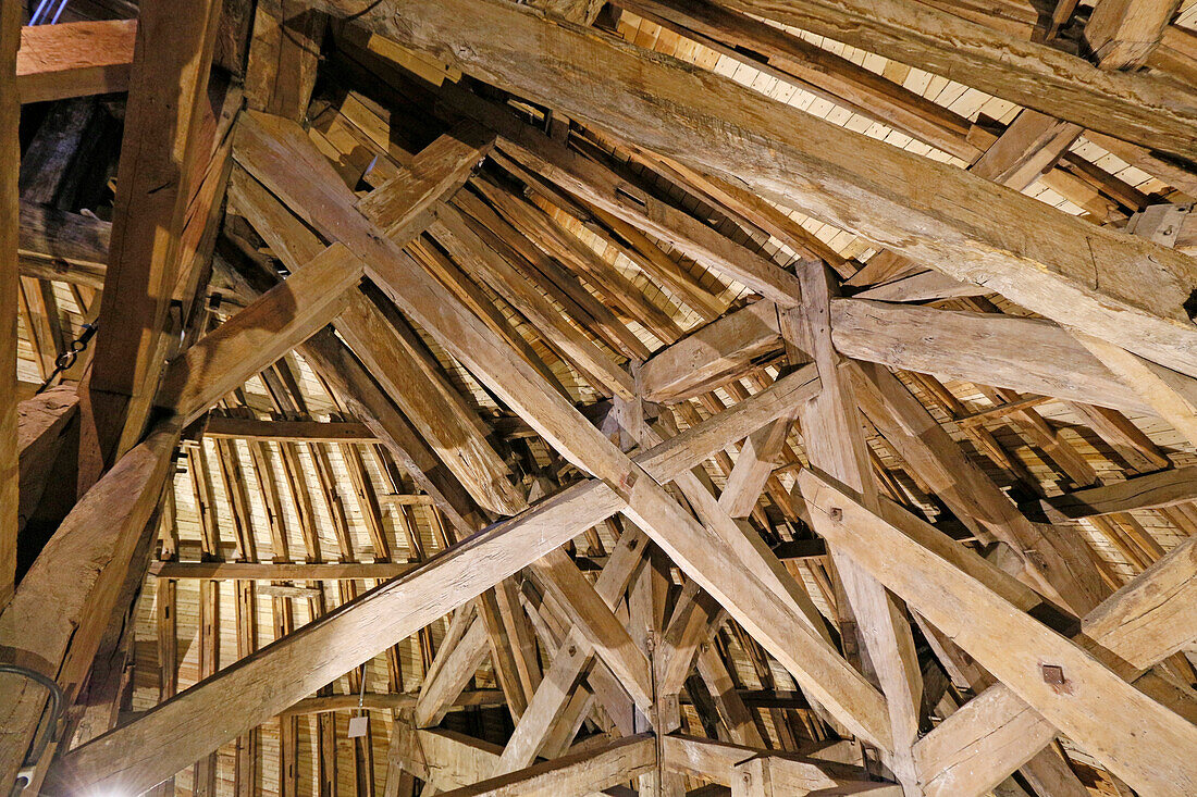 France. Seine et Marne. Castle of Vaux le Vicomte. The dome. View of the framing.