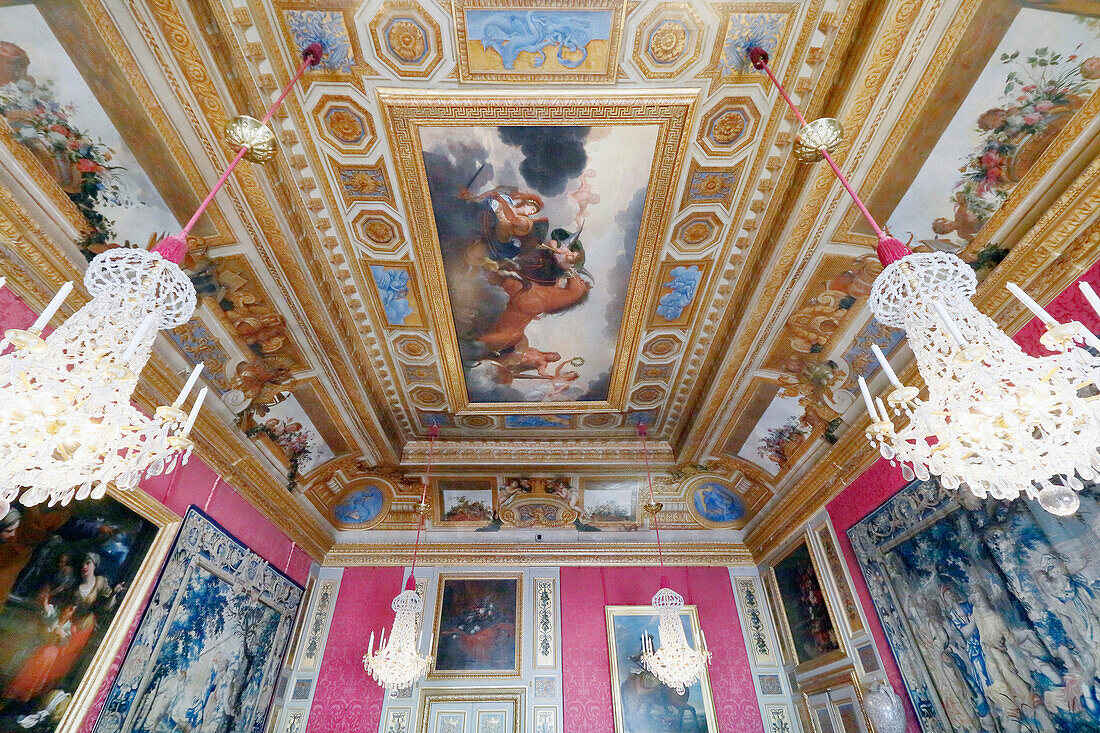 France. Seine et Marne. Castle of Vaux le Vicomte. The antichamber of Hercule. The ceilings.