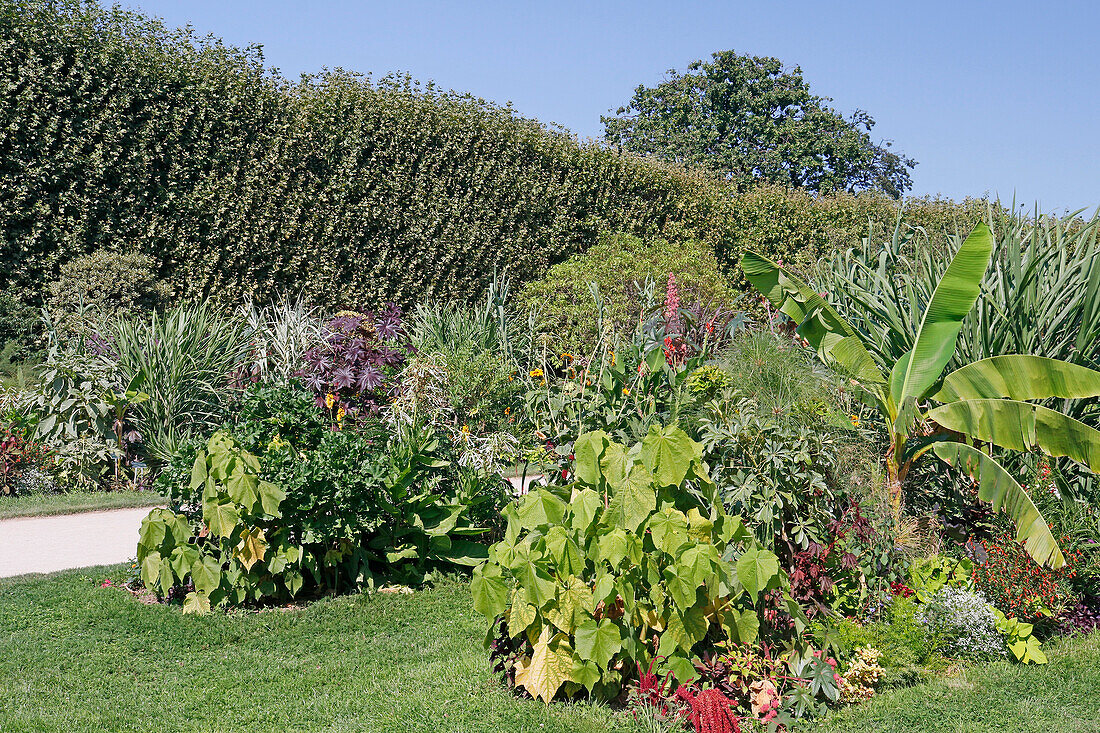 La France. Paris. 5. Bezirk. Der Garten der Pflanzen.