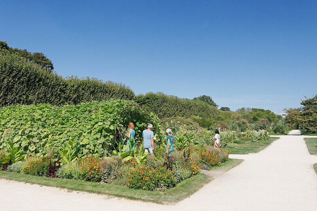 La France. Paris. 5th district. The Garden of plants. Tourists visiting the garden.