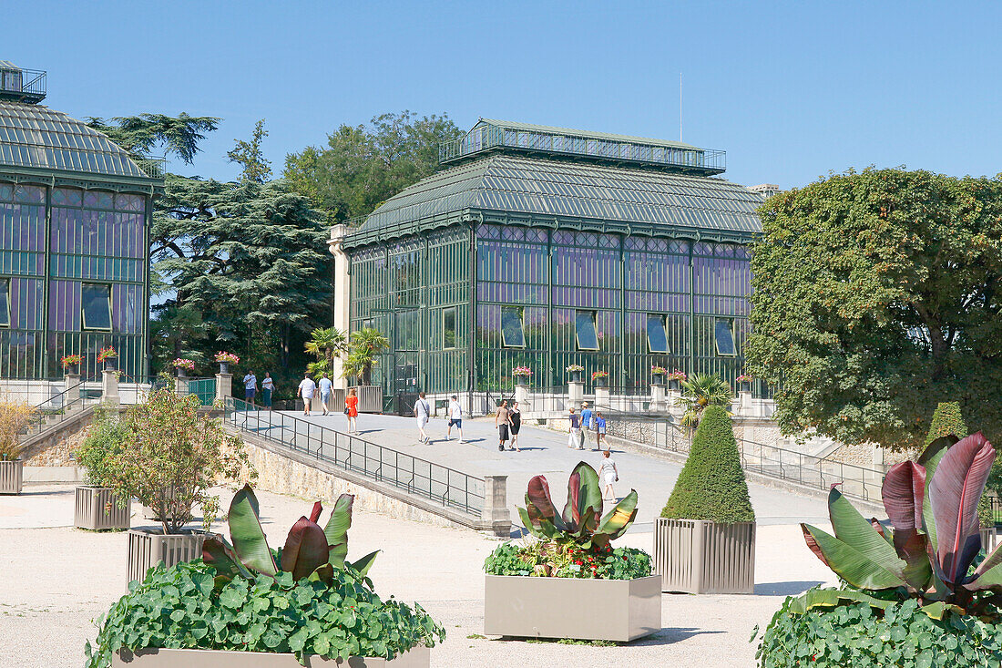 La France. Paris. 5. Bezirk. Der Garten der Pflanzen. Die Gewächshäuser und das Museum. Touristen, die diesen Ort besuchen.