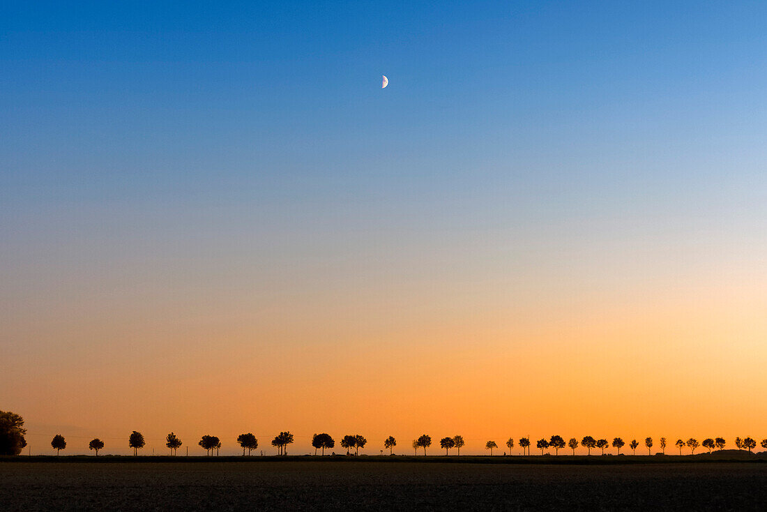 France. Seine et Marne. Coulommiers region. Summertime. Dusk. General view of the countryside with quarter moon in the sky.