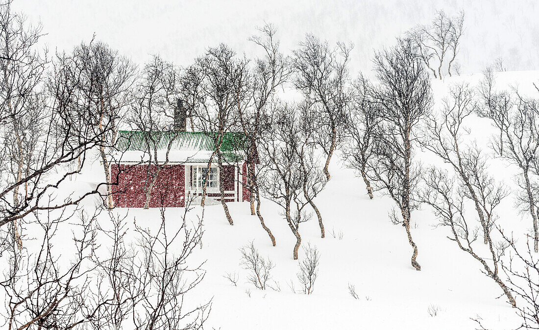 Norwegen,Stadt Tromso,rotes isoliertes Haus im Schnee