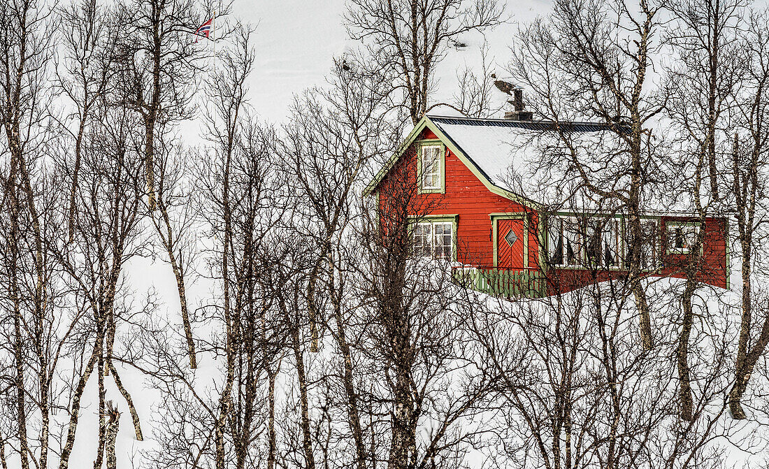 Norway,city of Tromso,red isolated house in the snow