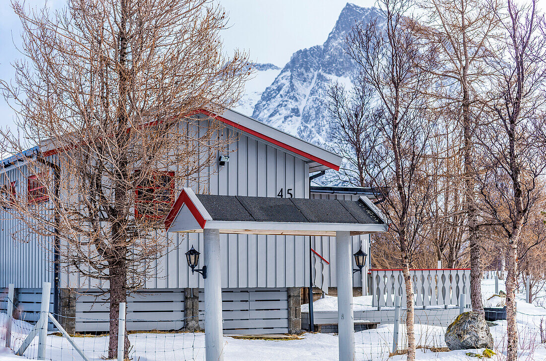 Norway,city of Tromso,Island of Senja,Ballesvika fjord,house in the snow