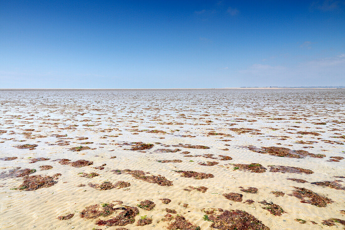 France. Normandy. Department of Manche. Hauteville sur Mer at low tide during the summer. High tide. View towards Agon Coutainville.